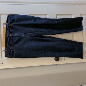 Short length Lands' End Straight Leg Fit 2 Jeans 18W